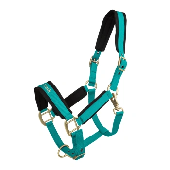 2064-werano-halter-tropic-01-web-1500x-jpg.webp