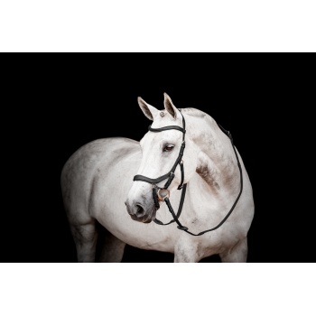 sbmom0-k000_horseware-micklem-2-competition-bridle.jpg