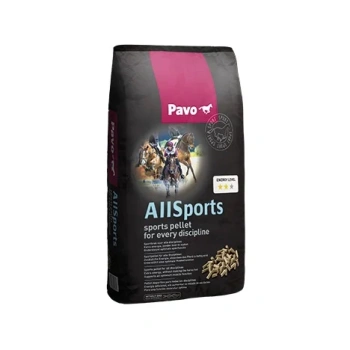 AllSport.webp
