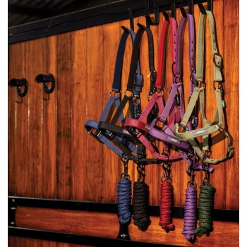 dhrx01-rrr0-amigo-headcollar-leadrope-set-collection_uncocoxw4nullxjq.jpg