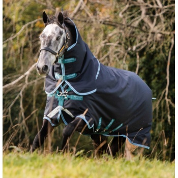 aarp72-bde0_amigo-bravo-12-plus-turnout-medium-horse-blanket-navy-aqua-turquoise-600x620.jpg