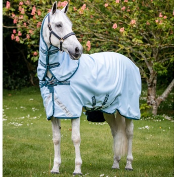 aarpk1_cb00-Horseware-Amigo-Plant-Dye-Turnout-horse-blanket-600x620.jpg