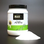 Maxx Amino Power