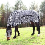 Zebra tekk sabaklapiga