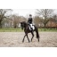 CUJLC1-CHRP CVJMC1-BLCK CBJEC1-WHIT EGJCC1-BLCK AA Alcina Long Sleeve Show Shirt & AA Platinum Motion Flex Pro Jacket & AA Allora Full Seat High Rise Breech& AA Platinum Glove (12).jpg