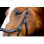 sbmom0-k000_horseware-micklem-2-competition-bridle (2).jpg