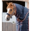 Stable-Buster-100-Stable-Rug-Neck-Navy-1_a552930b-0f15-48f3-83be-18cab4291bb3_1600x.jpg