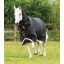 Titan-100-Turnout-Rug-Black-1_1600x.jpg