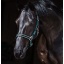 DHRH40-KCTR-4-RGB-600x620.jpg