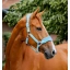 dhham0-ddd0-horseware-signature-grooming-headcollar-blue-haze-looking-right_3.webp