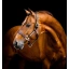 dhhlm0-n000-horseware-signature-leather-headcollar-brown-main_xt6xjrxynfag1tnr.webp