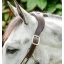 dhhmm0-nbd0-horseware-signature-braided-headcollar-brown-navy-blue-haze-top-detail.webp