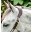 dhhmm0-nbd0-horseware-signature-braided-headcollar-brown-navy-blue-haze-top-detail.webp