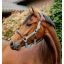 dhhmm1-nd00-horseware-signature-competition-headcollar-brown-blue-haze-main_qtkobecxdxybef7f.webp