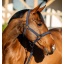 dhrx01-b000-amigo-headcollar-leadrope-set-navy-horse_xkq4yoscgp3u6xdu.jpg