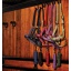 dhrx01-rrr0-amigo-headcollar-leadrope-set-collection_uncocoxw4nullxjq.jpg