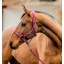 dhrx01-rrr0-amigo-headcollar-leadrope-set-mulberry-main_kp3xikhj26anyl6d.jpg