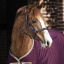horseware_amigo_ripstop_travel_boots_navy_fig_tan_1.jpg