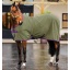 acrfb0-gpm0-amigo-fleece-cooler-bramble-horse-travel-rug_ixj1zwowsay6bqfq.jpg