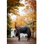 achfl2-kdi0_horseware-autumn-cooler (2).jpg