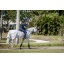 AFRE10-IJI0-Amigo-Flyrider (11).jpg