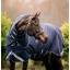 -Duo-Force-600x620.jpg
