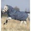 akbp92-c3d0-rhino-pony-plus-medium-200g-horse-blanket_4ezvpwmpbcckhhkb.jpg